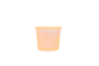 Laranja Neon