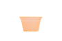 Laranja Neon