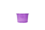 Roxo Neon